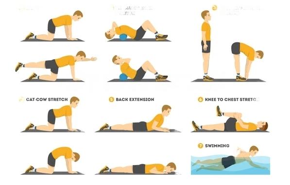 12 Exercises to Improve Posture and Relieve Lower Back Pain 2023