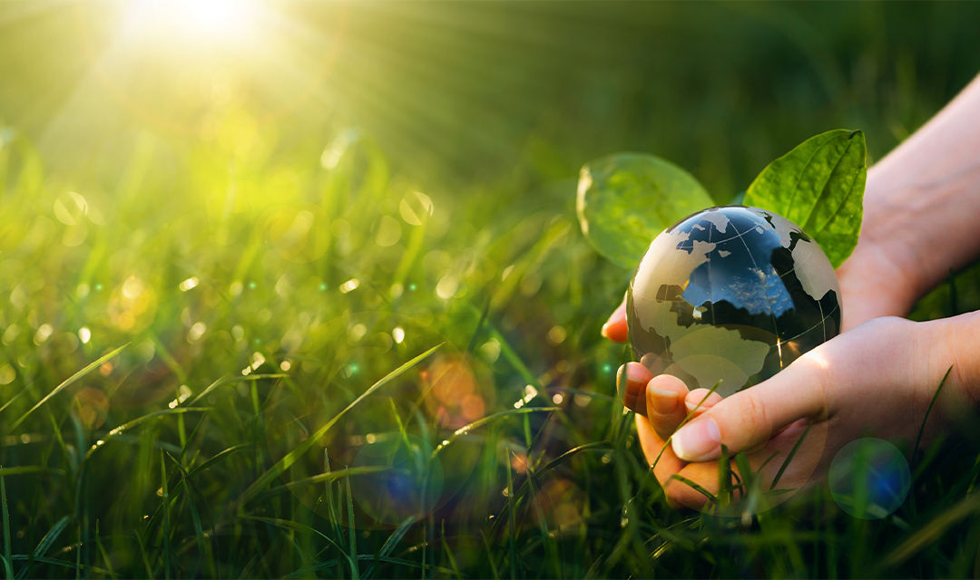 The Chiropractic Benefits of Celebrating Earth Day